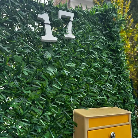 Stab 2 Centre Belgrad